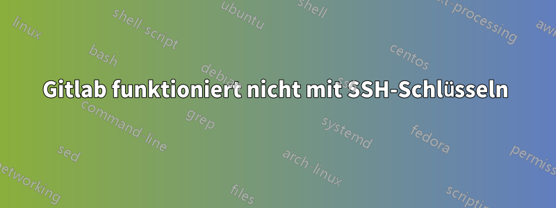 Gitlab funktioniert nicht mit SSH-Schlüsseln