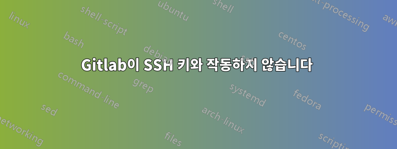 Gitlab이 SSH 키와 작동하지 않습니다