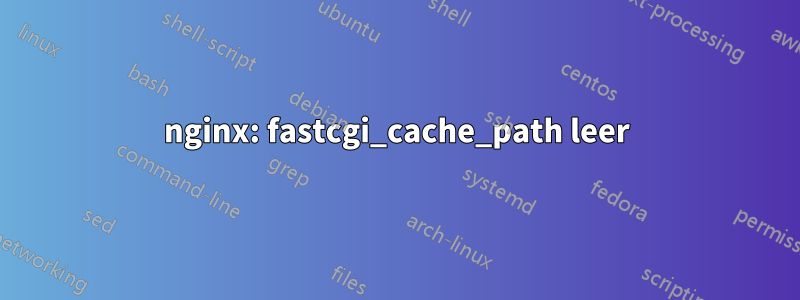 nginx: fastcgi_cache_path leer