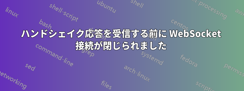 ハンドシェイク応答を受信する前に WebSocket 接続が閉じられました