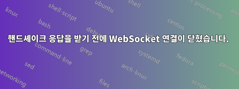 핸드셰이크 응답을 받기 전에 WebSocket 연결이 닫혔습니다.