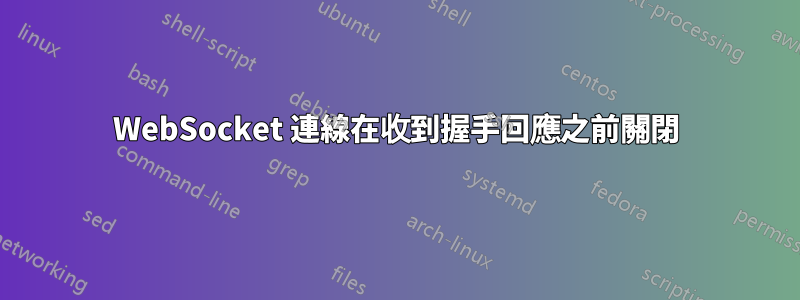 WebSocket 連線在收到握手回應之前關閉