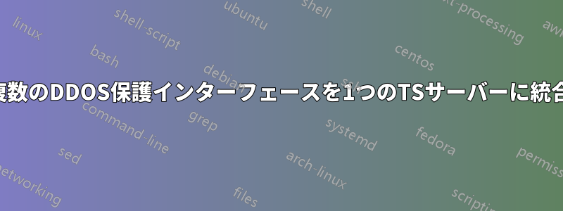 複数のDDOS保護インターフェースを1つのTSサーバーに統合
