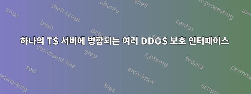 하나의 TS 서버에 병합되는 여러 DDOS 보호 인터페이스