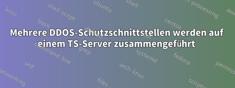 Mehrere DDOS-Schutzschnittstellen werden auf einem TS-Server zusammengeführt