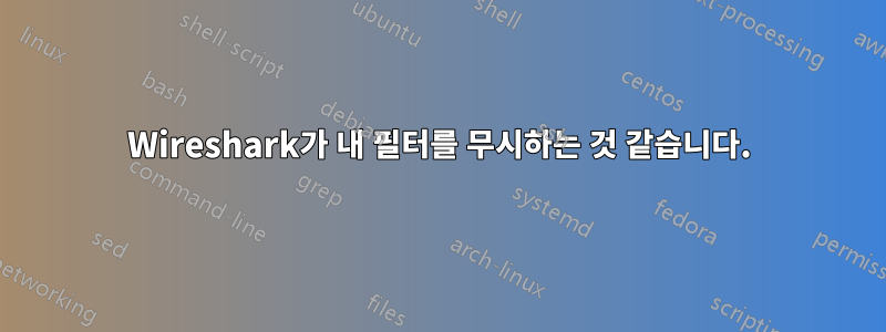 Wireshark가 내 필터를 무시하는 것 같습니다.