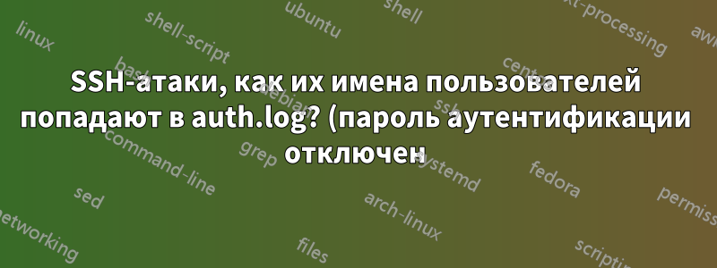 SSH-атаки, как их имена пользователей попадают в auth.log? (пароль аутентификации отключен)