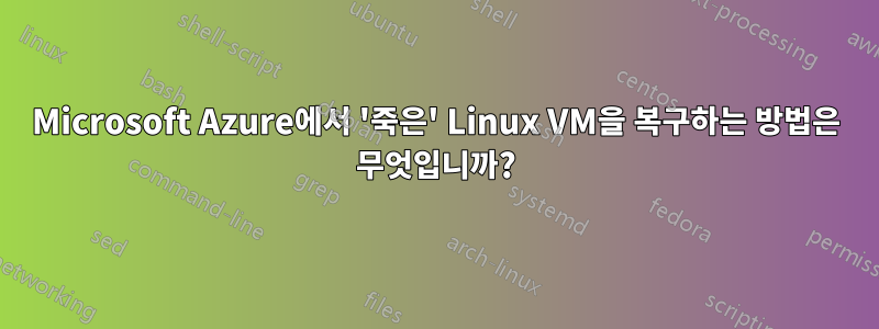 Microsoft Azure에서 '죽은' Linux VM을 복구하는 방법은 무엇입니까?