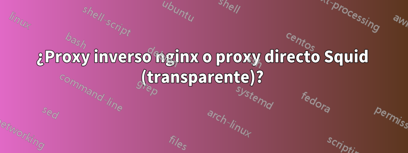 ¿Proxy inverso nginx o proxy directo Squid (transparente)?