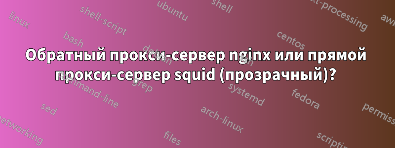 Обратный прокси-сервер nginx или прямой прокси-сервер squid (прозрачный)?