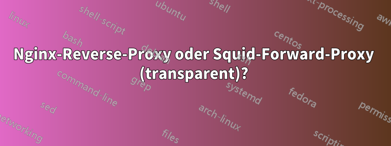 Nginx-Reverse-Proxy oder Squid-Forward-Proxy (transparent)?