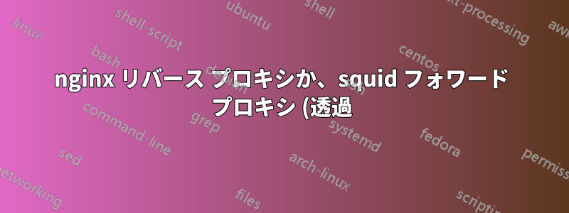 nginx リバース プロキシか、squid フォワード プロキシ (透過) か?