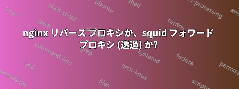 nginx リバース プロキシか、squid フォワード プロキシ (透過) か?