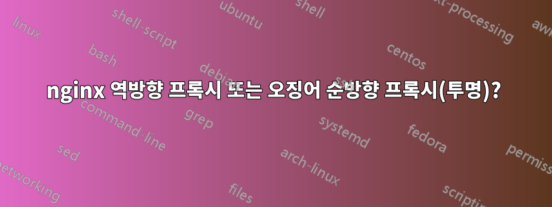 nginx 역방향 프록시 또는 오징어 순방향 프록시(투명)?