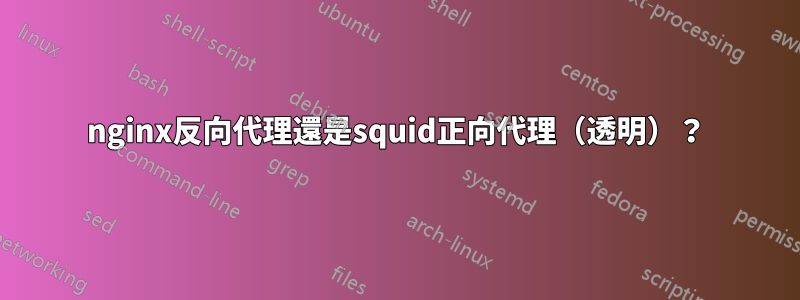 nginx反向代理還是squid正向代理（透明）？