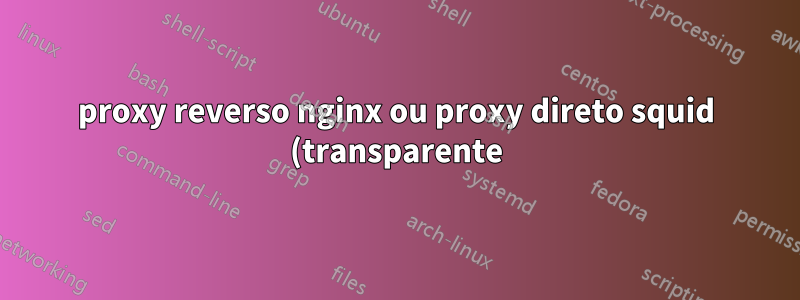 proxy reverso nginx ou proxy direto squid (transparente)?