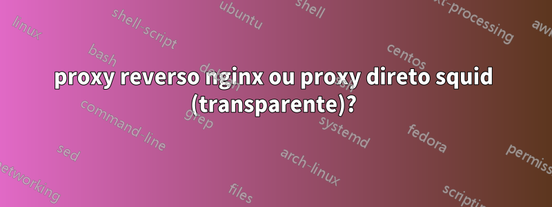 proxy reverso nginx ou proxy direto squid (transparente)?