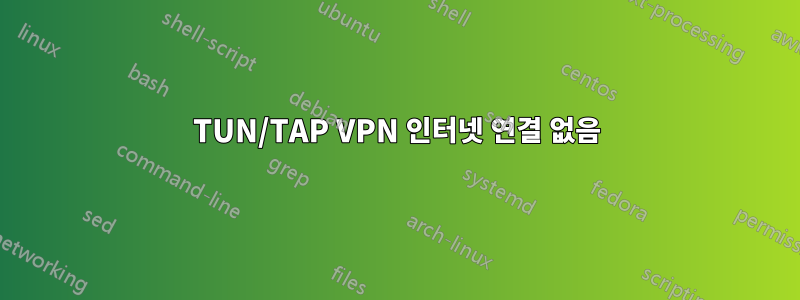 TUN/TAP VPN 인터넷 연결 없음