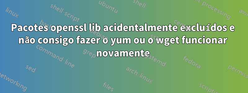 Pacotes openssl lib acidentalmente excluídos e não consigo fazer o yum ou o wget funcionar novamente