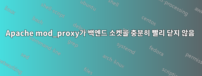 Apache mod_proxy가 백엔드 소켓을 충분히 빨리 닫지 않음