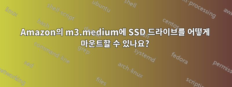 Amazon의 m3.medium에 SSD 드라이브를 어떻게 마운트할 수 있나요?