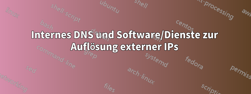 Internes DNS und Software/Dienste zur Auflösung externer IPs