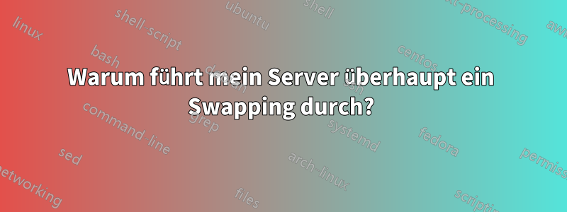 Warum führt mein Server überhaupt ein Swapping durch?