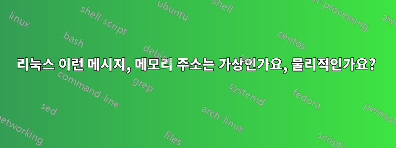 리눅스 이런 메시지, 메모리 주소는 가상인가요, 물리적인가요?