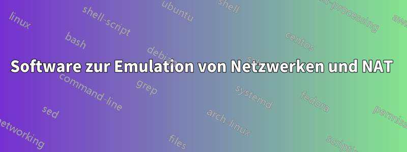 Software zur Emulation von Netzwerken und NAT