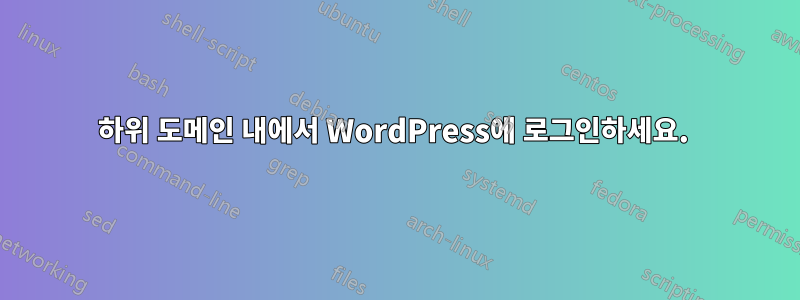 하위 도메인 내에서 WordPress에 로그인하세요. 