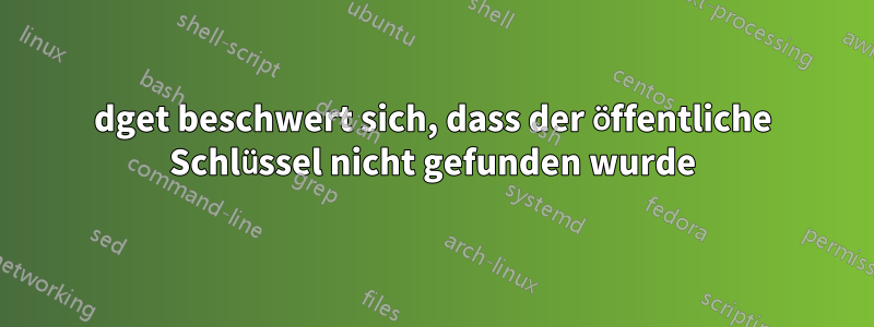 dget beschwert sich, dass der öffentliche Schlüssel nicht gefunden wurde