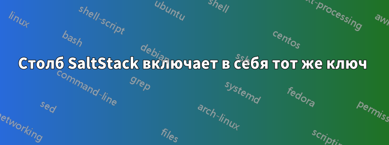 Столб SaltStack включает в себя тот же ключ
