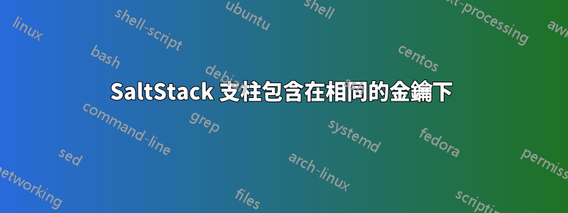SaltStack 支柱包含在相同的金鑰下