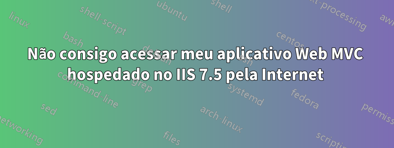 Não consigo acessar meu aplicativo Web MVC hospedado no IIS 7.5 pela Internet