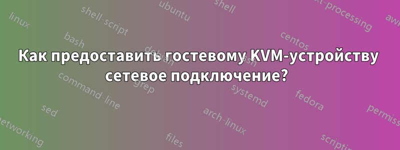 Как предоставить гостевому KVM-устройству сетевое подключение? 