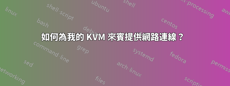如何為我的 KVM 來賓提供網路連線？ 