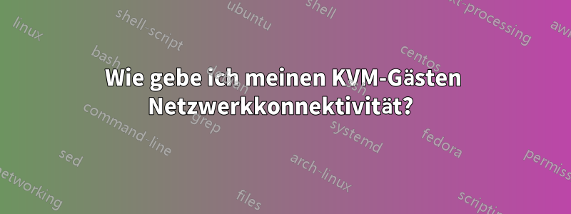 Wie gebe ich meinen KVM-Gästen Netzwerkkonnektivität? 
