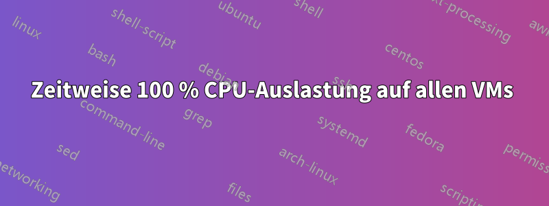 Zeitweise 100 % CPU-Auslastung auf allen VMs