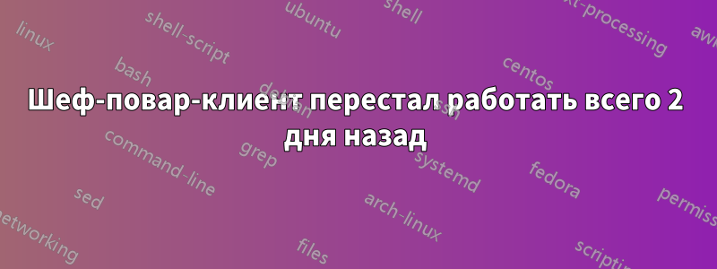 Шеф-повар-клиент перестал работать всего 2 дня назад