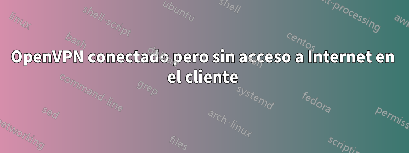 OpenVPN conectado pero sin acceso a Internet en el cliente