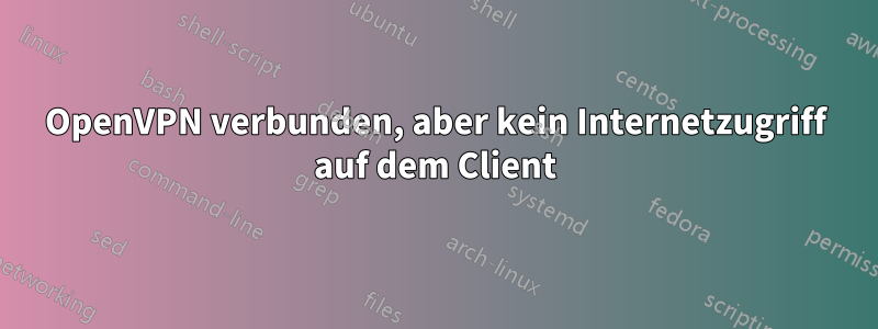 OpenVPN verbunden, aber kein Internetzugriff auf dem Client