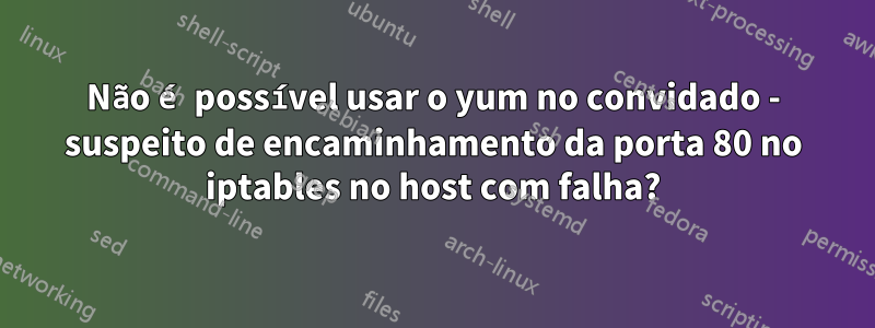 Não é possível usar o yum no convidado - suspeito de encaminhamento da porta 80 no iptables no host com falha?