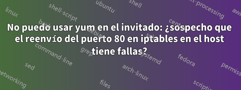 No puedo usar yum en el invitado: ¿sospecho que el reenvío del puerto 80 en iptables en el host tiene fallas?