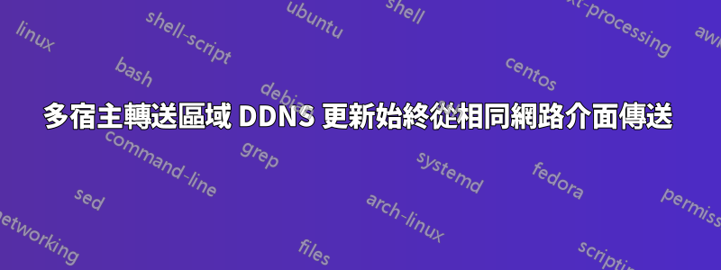 多宿主轉送區域 DDNS 更新始終從相同網路介面傳送