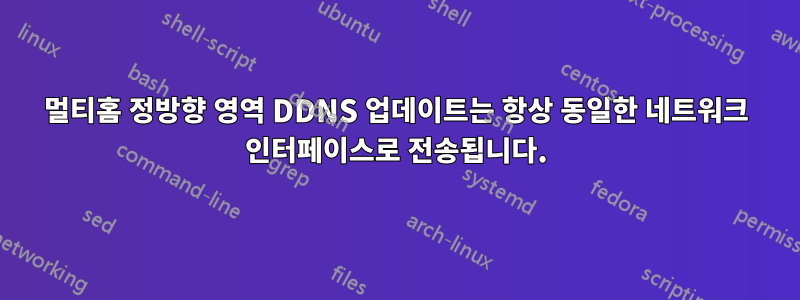 멀티홈 정방향 영역 DDNS 업데이트는 항상 동일한 네트워크 인터페이스로 전송됩니다.