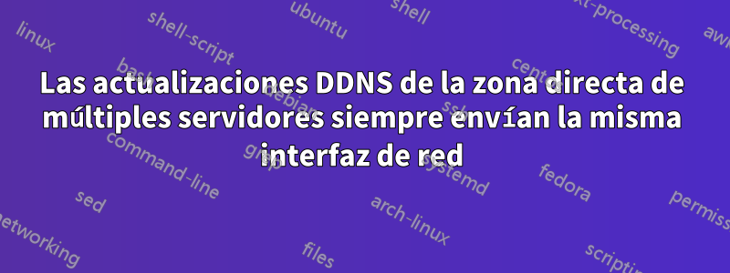 Las actualizaciones DDNS de la zona directa de múltiples servidores siempre envían la misma interfaz de red