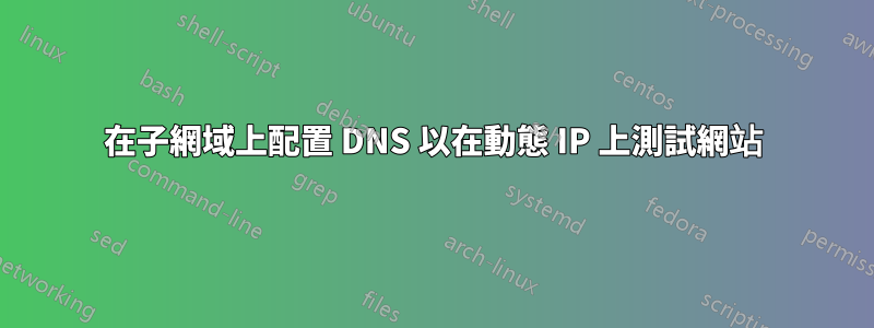 在子網域上配置 DNS 以在動態 IP 上測試網站