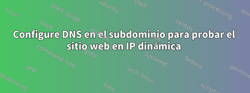Configure DNS en el subdominio para probar el sitio web en IP dinámica