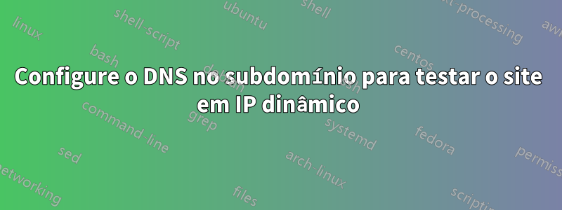 Configure o DNS no subdomínio para testar o site em IP dinâmico