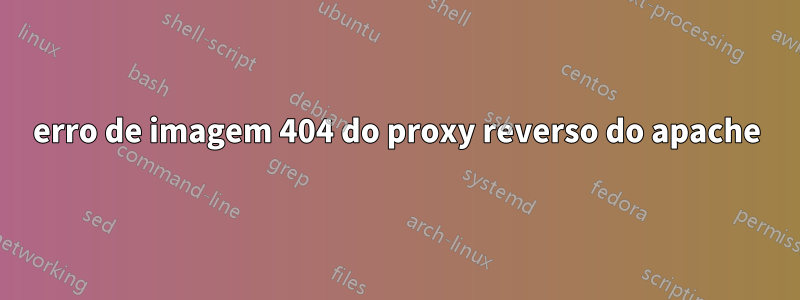 erro de imagem 404 do proxy reverso do apache